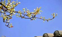 慢下来，会精彩