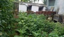 回乡下的感觉真好