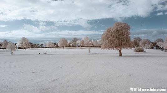 站在雪地里的数字