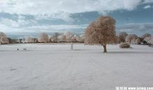 矗立在雪中的身影