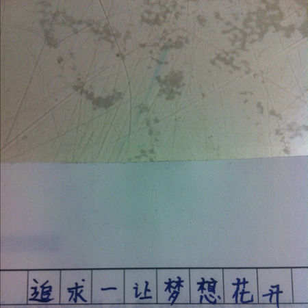 追求使梦想绽放
