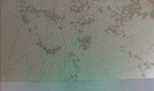 追求让梦想花开