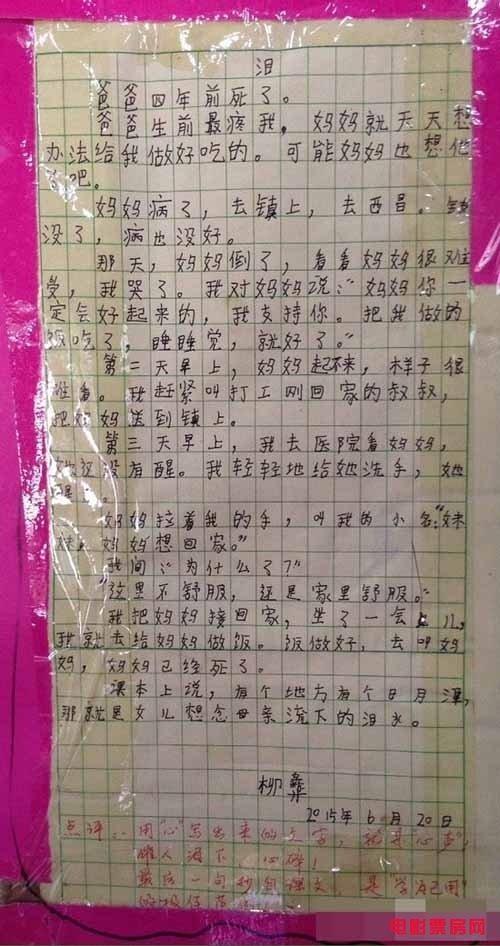 五年级作文二十年后的故乡