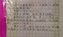 小学五年级作文二十年后的家乡