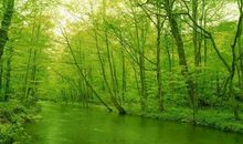 春天来到我们的身边