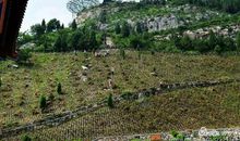 一路阳光一路拼搏