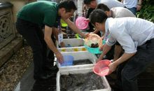 我的志愿者爸爸