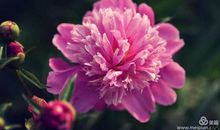 读你作文记叙文