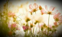 人间处处有温暖