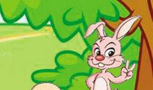 兔子和乌龟的故事