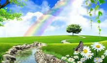 风雨以后见彩虹