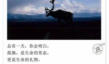 从此，我不再孤独