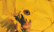 雨落山果，灯下草虫