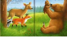 读《棕熊的故事》有感