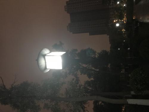 晚上，一个路灯下发生的故事