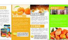 介绍桔子作文400字