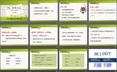 继续二年级的蜘蛛店