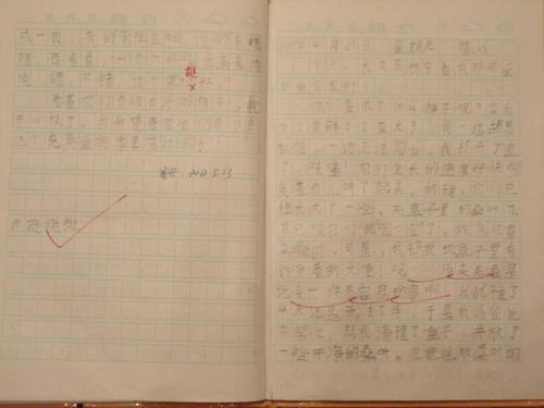 我爱的汉字
