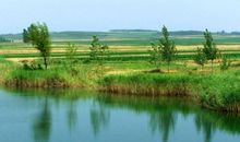 我家乡的四季之美