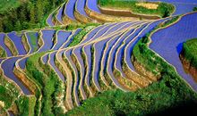 美丽的龙脊梯田