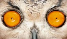 难忘那一双温暖的眼睛