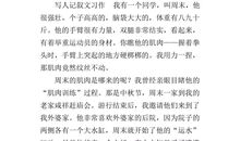 写一个特点鲜明的人作文五年级