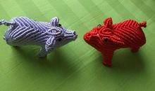 拾起的难忘点滴