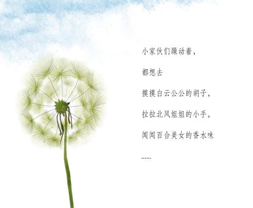 蒲公英种子旅行