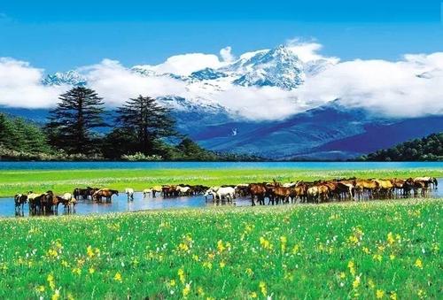 给心情四个季节的风景