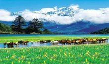 给心情抹上四季的风景