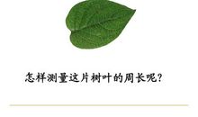 这片树叶影响了我