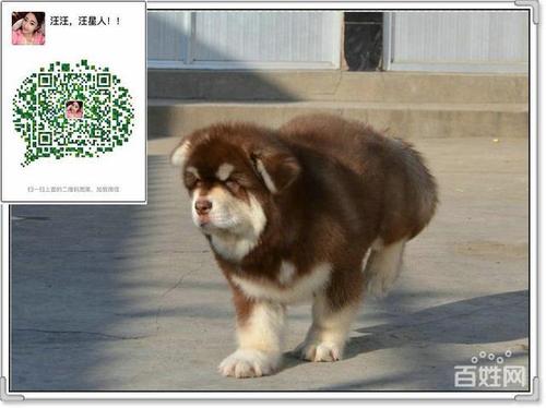 令人回味的东西