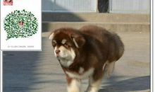 一件令人回味无穷的事