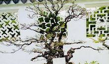 从生活中学会欣赏