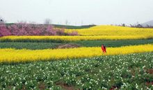 生活处处中的发现