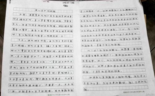 作文需要800字辩论性论文