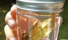 把秋天装在瓶子里