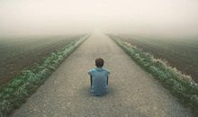 一段与草木相伴的旅程