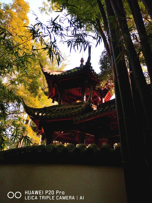 杜甫草堂游记