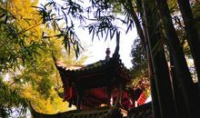 杜甫草堂游记作文