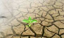 别让眼泪成为最后一滴水