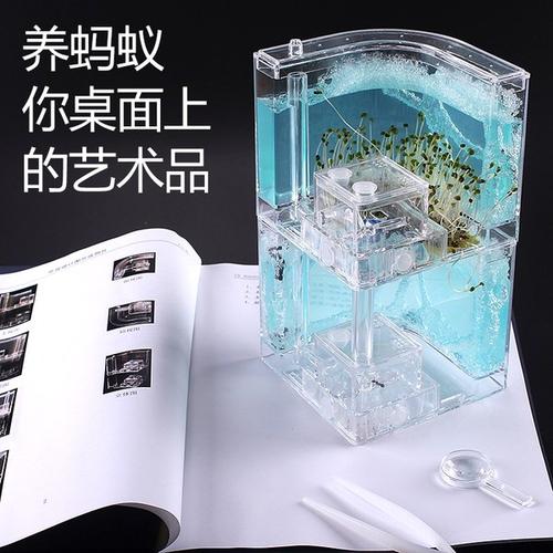 蚂蚁