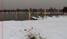 校园那株傲立的小草