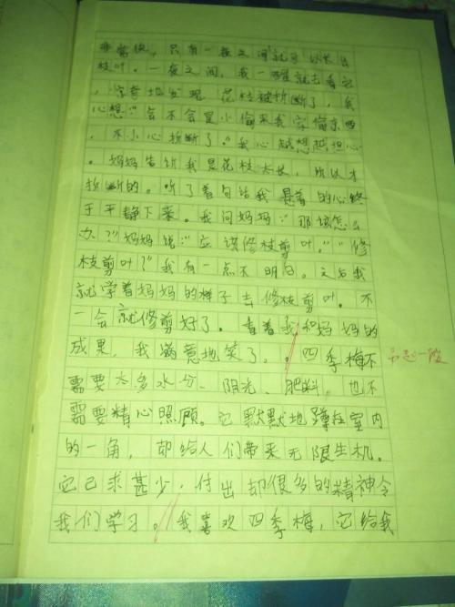 赞美花朵精神的构图