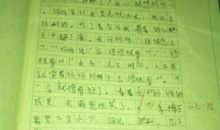 赞美花精神的作文