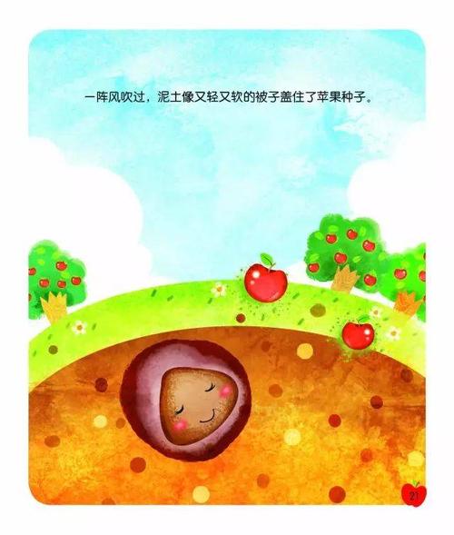 种子的故事