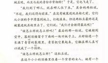 暑假实践作文：种豆荚_150字