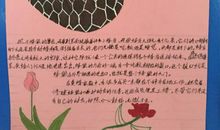 我们班的昆虫迷