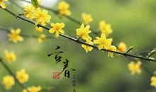 春充满希望的季节