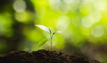 诗词，成长的种子